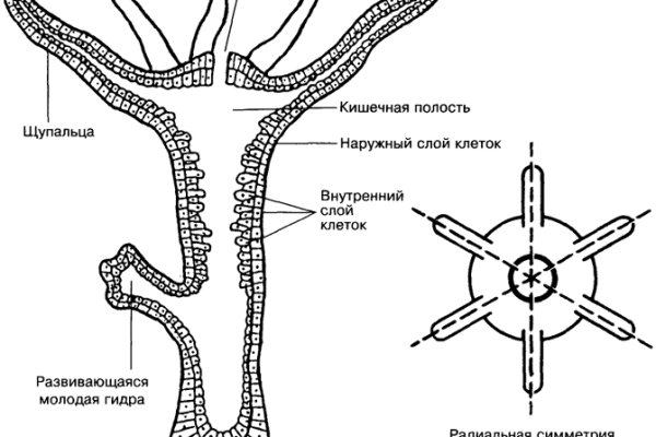 Мониторинг меги