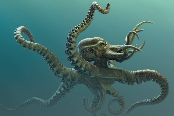 Ссылка крамп kraken4webes