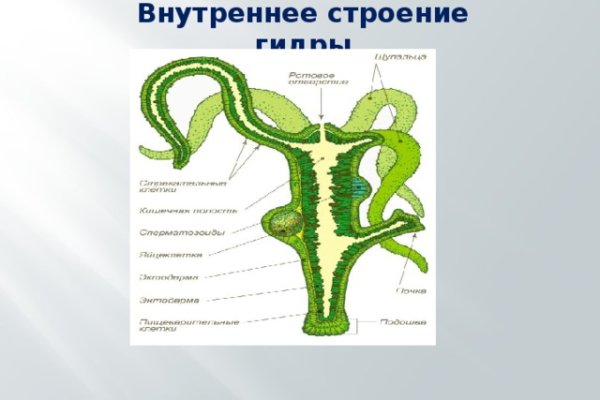 Официальный сайт меги тор