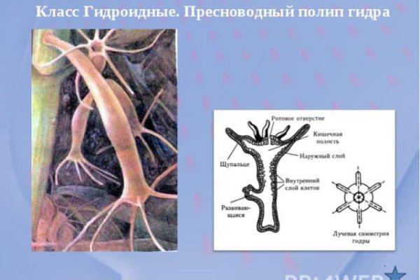 Мега хыдра клуб онион ком